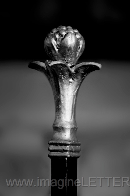Wall_Art_Alphabet_Photography_Art_ 959.jpg